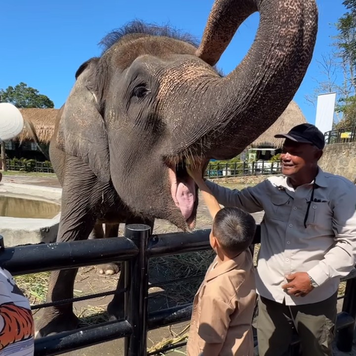<p>Pada kesempatan ini, Tya turut mengajak teman-teman Kanaka untuk berkeliling kebun binatang dan melihat hewan-hewan. Kanaka bahkan berkesempatan untuk memberi makan gajah langsung ke dalam mulutnya, lho. Keren banget, ya! (Foto: Instagram: @tya_ariestya)</p>