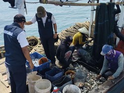 Tangkap Ikan Pakai Cantrang, 9 Kapal Nelayan Ditindak di Kepulauan Seribu