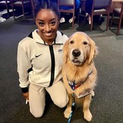 Inilah Anjing yang Gabung Tim Gymnastic AS untuk Olimpiade Paris 2024, Jadi Pendukung Emosional Atlet!