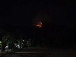 Hutan di Gunung Putuk Cupu Ponorogo Terbakar