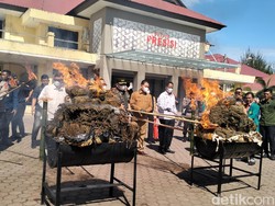 Polda Aceh Musnahkan 226 Kg Sabu dan 1,2 Ton Ganja