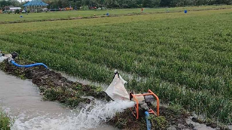 Kementerian Pertanian (Kementan) menegaskan bahwa program pompanisasi yang saat ini dijalankan di seluruh Indonesia merupakan solusi cepat bagi para petani