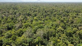Menteri LHK: 95 Persen Hutan Gambut SM Rawa Singkil di Aceh Tetap Utuh
