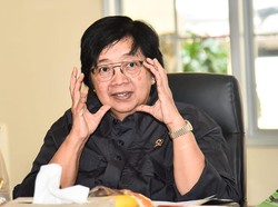 Duta Besar Norwegia Apresiasi Aksi Rehabilitasi Hutan Indonesia