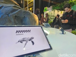 AMMAN Pilih Gili Balu Jadi Wilayah Pengembangan Pariwisata, Ini Alasannya