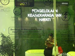 Upaya AMMAN Genjot Efisiensi Energi dalam Operasi Tambang, Seperti Apa?