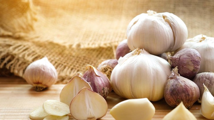 Bawang putih obat batuk pilek Bawang putih obat batuk pilek
