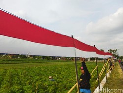 HUT RI, Warga Kokosan Klaten Pasang Merah Putih Panjang 325 Meter Sebulan Penuh
