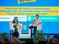 Nggak Cuma Habis Dibakar, Limbah Kayu Bisa Diolah Jadi Energi Biomassa