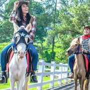 Kumpulan Promo Tempat Wisata Spesial HUT RI, Ada TMII hingga Taman Safari!