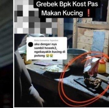 Muncul 'Analisis' Bapak Kos Pemakan Kucing Keliru, Kumis Kucing Bukan Hewan