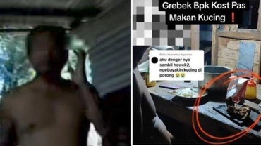 Muncul 'Analisis' Bapak Kos Pemakan Kucing Keliru, Kumis Kucing Bukan Hewan