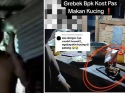 Muncul 'Analisis' Bapak Kos Pemakan Kucing Keliru, Kumis Kucing Bukan Hewan