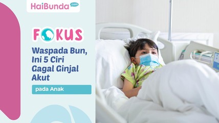 Detik Network