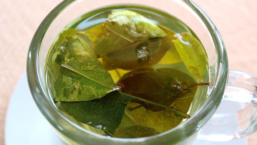 Teh rating terburuk versi TasteAtlas 10 Teh Herbal Ini Dapat Peringkat Terburuk dari TasteAtlas