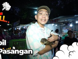 Bukan Lagi Lidah Mertua, Ini Tanaman yang Harganya Sampai Puluhan Juta
