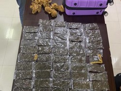 Polisi Gagalkan Penyelundupan 1,9 Kg Ganja di Manokwari, 1 Orang Ditangkap