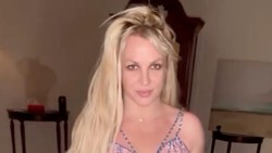 Britney Spears Bikin Cemas gegara Rumah Penuh Kotoran Anjing