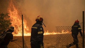 Kebakaran Hutan Hebat Terjang Yunani, RIbuan Warga Mengungsi