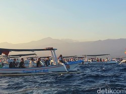 Mengejar Lumba-lumba di Laut Bali Utara
