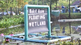 PTBA Kembangkan Lahan Basah Buatan demi Pulihkan Lingkungan