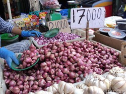 Panen Raya-Stok Melimpah, Harga Bawang Merah di Palembang Turun
