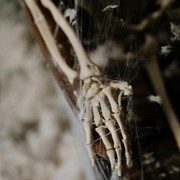 Ini Fakta Baru Tentang Manusia 'Hobbit' dari Flores yang Diungkap Ilmuwan