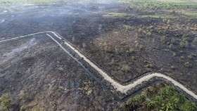FOTO: 30 Hektare Lahan di Tanjung Jabung Barat Hangus Dilalap Api