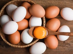 Hasil Kadar Kolesterol Pria yang Nekat Makan 700 Butir Telur Sebulan