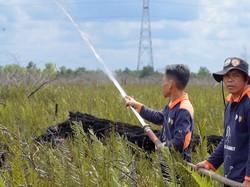 Restorasi Permanen Disebut Solusi Pemulihan Ekosistem Gambut Berkelanjutan