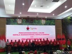 Daftar Cagub/Cawagub yang Resmi Diusung PDIP, Ada Edy hingga Mualem