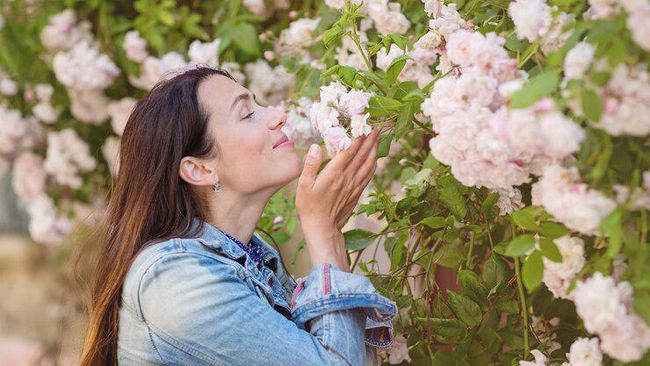 Mau Wangi Seharian Tanpa Parfum Mahal? Terapkan 5 Cara Ini!