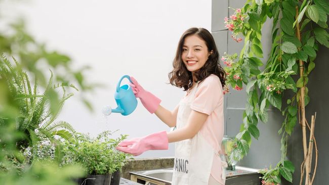 5 Manfaat Air Cucian Beras untuk Tanaman dan Cara Menggunakannya