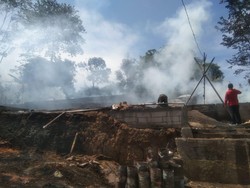 Kabakaran Kandang di Sumowono Semarang, 7.000 Ayam Mati Terpanggang