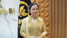 Puan: Megawati-Prabowo Sama-sama Ingin Bertemu