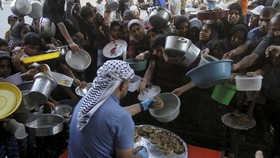 Fakta-fakta Gencatan Senjata Israel-Hamas yang Kembali Buntu