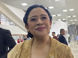 Puan Calon Final DPR RI 2024-2029