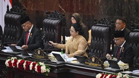 Puan Kaji Penambahan Komisi DPR di Tengah Isu Kabinet Gemuk Prabowo