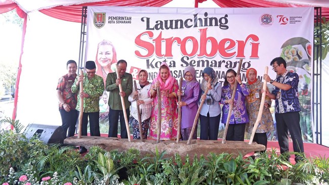 Stroberi hadir mendukung program makan gratis nasional, memberi santap siang yang sehat, bergizi, serta dijamin kebersihannya kepada siswa sekolah di Semarang.