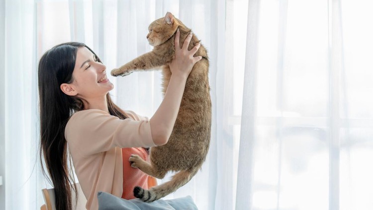 Manfaat pelihara kucing