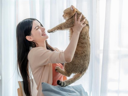 Pelihara Kucing Disebut Bisa Redakan Stres hingga Bantu Interaksi Anak Autisme