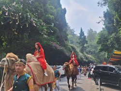 Gemas Banget Satwa di TSI Bogor Ikut Parade HUT Kemerdekaan RI ke-79