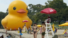 FOTO: Bebek Karet Terbesar di Dunia Mejeng di Pantai New York