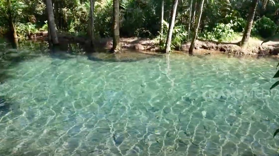 Pemandangan kejernihan air di Kali Odo&period;