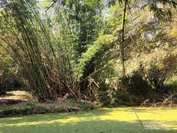 Mutiara di Kaki Gunung Semeru, Mata Airnya Justru Deras Saat Kemarau
