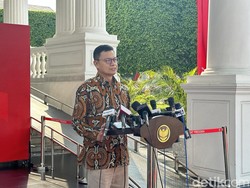 BPOM RI Tindaklanjuti 96,15 Persen Rekomendasi BPK