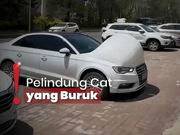 img-title Cuaca Panas Ekstrem di China Sebabkan Deretan Mobil 'Hamil'