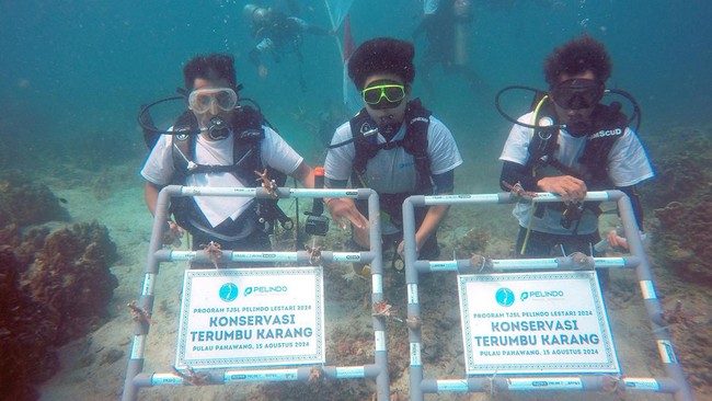 PT Pelindo Terminal Petikemas dan PT IPC Terminal Petikemas menanam 632 bibit terumbu karang di Pulau Pahawang, Kabupaten Pesawaran, Provinsi Lampung.