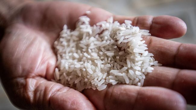 Studi mengungkapkan, beras mengandung bahan kimia berbahaya penyebab kanker. Namun, cara memasak yang tepat bisa membuat bahan kimia berbahaya itu hilang.