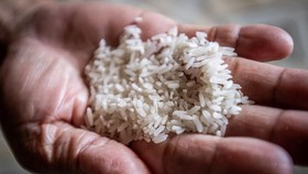 Studi Sarankan Masak Nasi dengan Benar agar Terhindar dari Kanker